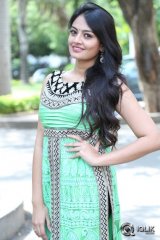 Nikitha Narayan at Mellaga Tattindi Manasu Talupu Movie Press Meet